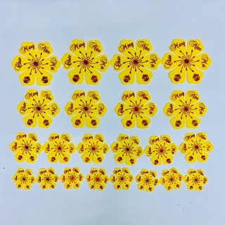 GIÁ SỐC- HOA MAI XỐP DẺO DÁN TƯỜNG TRANG TRÍ NGÀY  TẾT ( GIAO MẪU NGẪU NHIÊN)