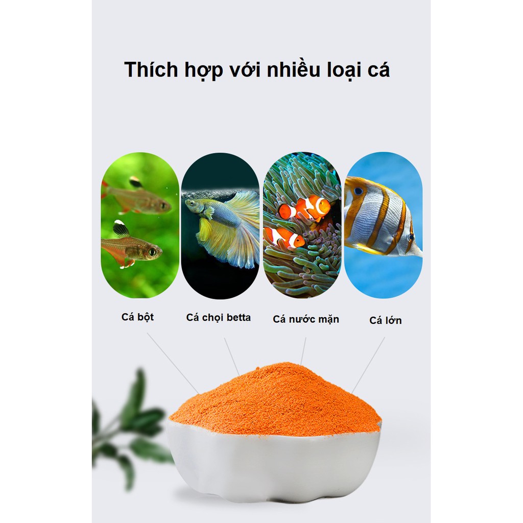 Artemia ngâm muối sấy khô