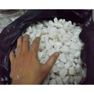 Sỏi trắng giá chỉ 10k/1 kg