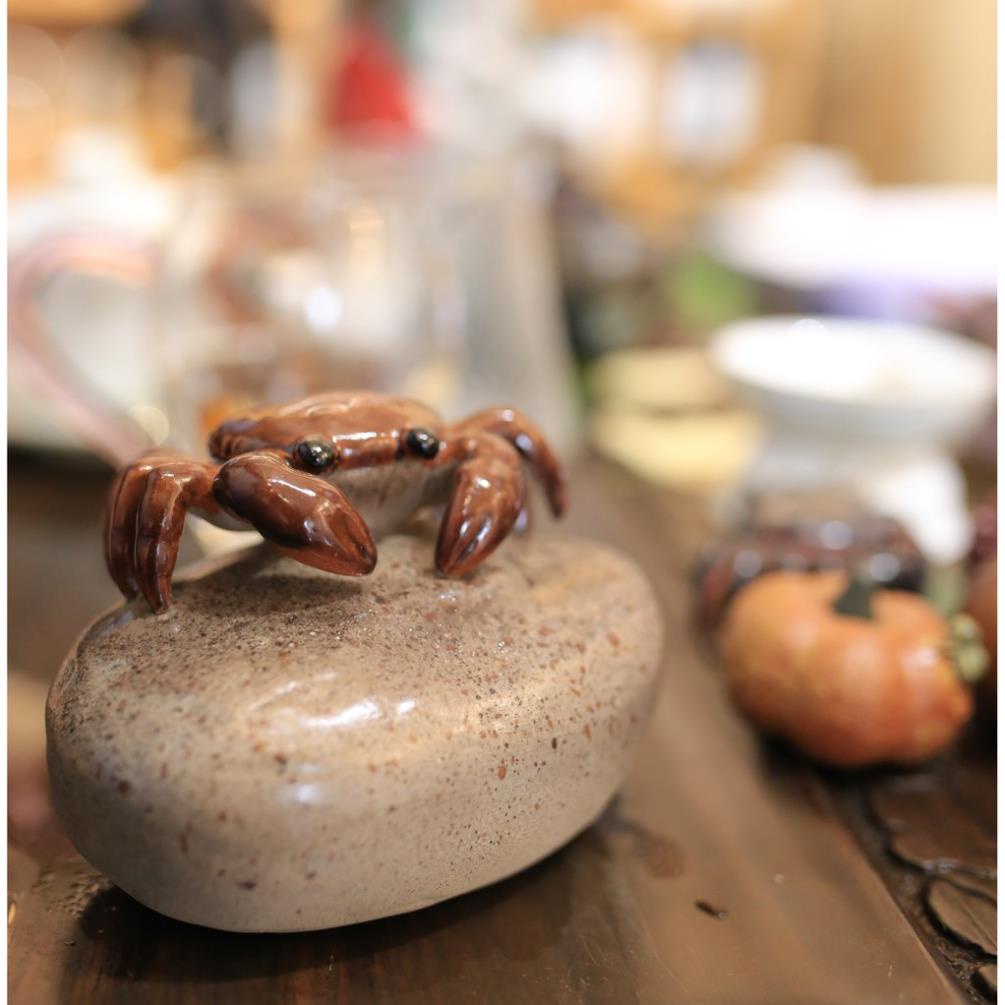 Cua đá đổi màu, pet bàn trà, con cua đổi màu, cua gặp nước nóng, cua biến hình, cua đá đổi màu.