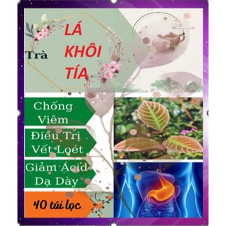 Trà lá khôi nhung, lá khôi tía, giảm đau dạ dày, nổi mề đay, mẩn ngứa, 40 túi lọc