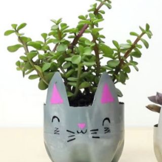 Combo 10 cành hoa sam, hoa 8 giờ  mix màu đủ bình mập như hình