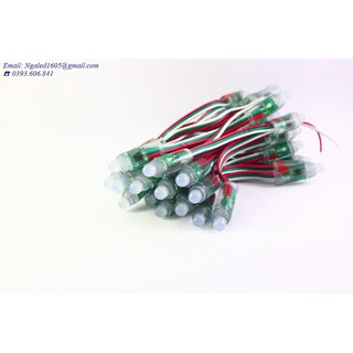 Led đúc phi 8 full color