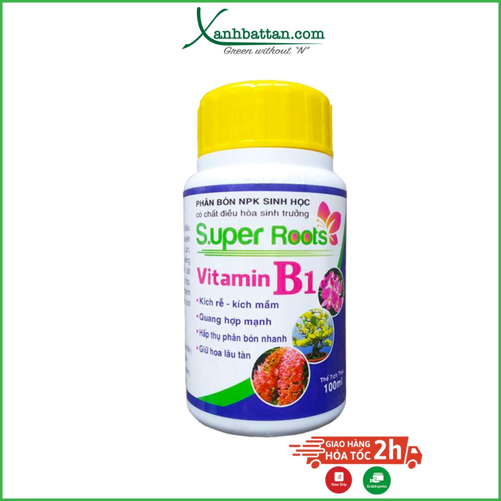 Super Root B1 Kích rễ - kích mầm - giữ hoa lâu tàn 100 ml