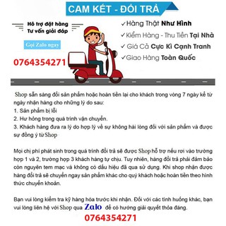 Máy thổi bụi phòng nét 902