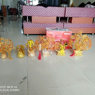 Cây cành vàng lá ngọc