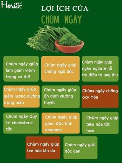 CHÙM NGÂY SẤY LẠNH
