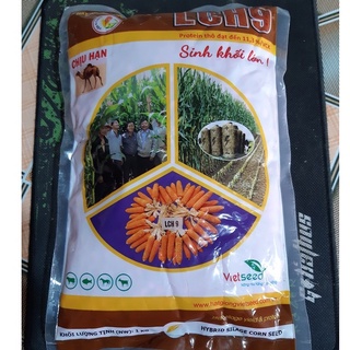 Hạt Giống Ngô Sinh Khối LCH9 (Gói 1kg)