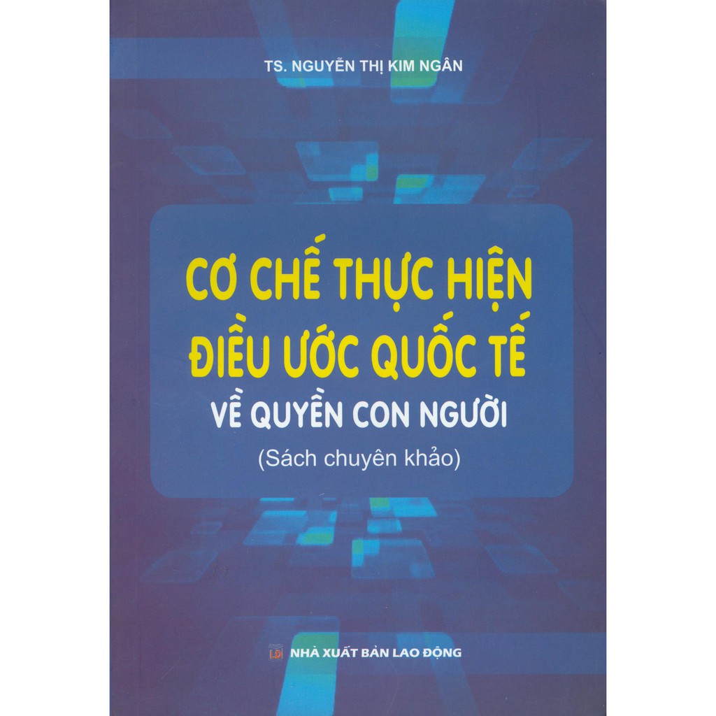 Sách - Cơ Chế Thực Hiện Điều Ước Quốc Tế Về Quyền Con Người | BigBuy360 - bigbuy360.vn