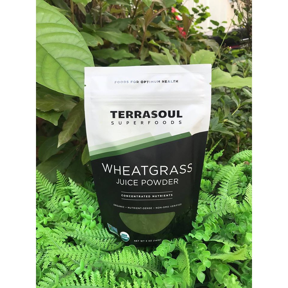 Bột nước ép cỏ lúa mì hữu cơTerrasoul 141gr