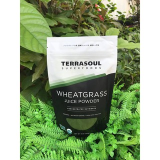 Bột nước ép cỏ lúa mì hữu cơTerrasoul 141gr