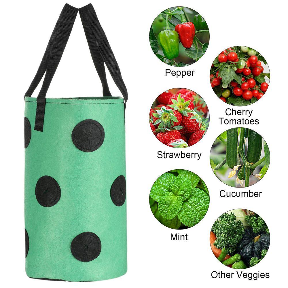 PINEVN Chậu Trồng Dâu 13 Lỗ Thoáng Khí Treo Tường