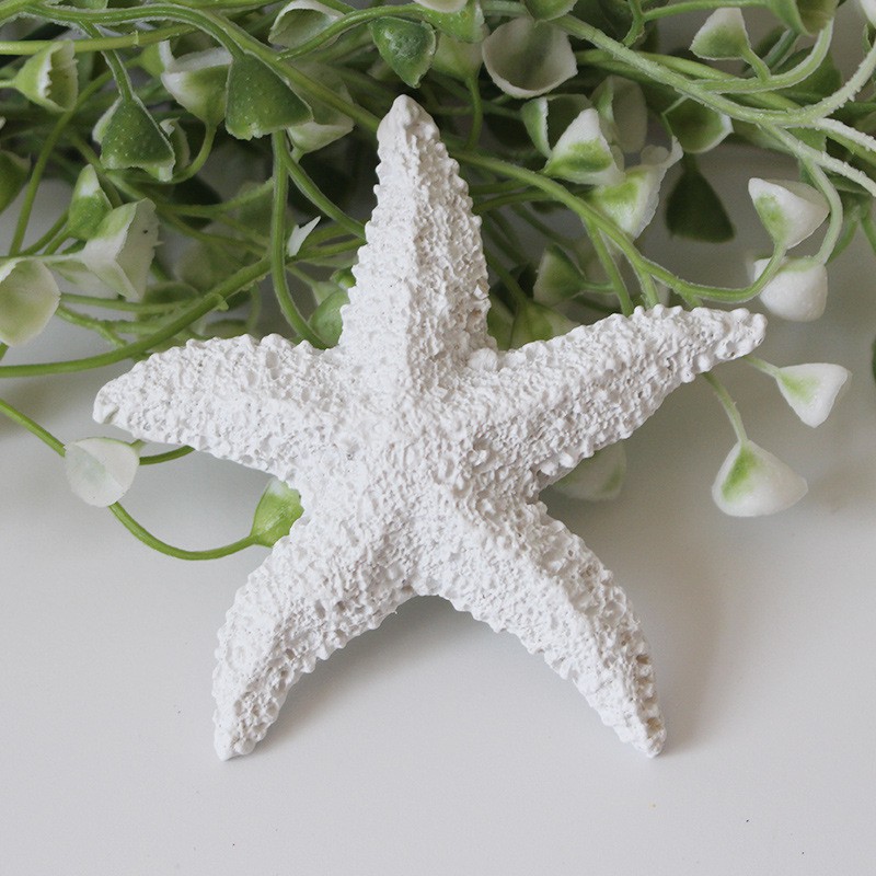 Mô hình sao biển trang trí size 8cm thân dày  - Decor đồ trang trí theo phong cách biển Địa Trung Hải