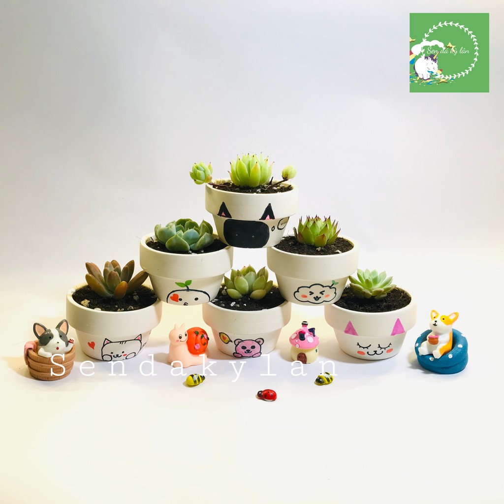FREESHIP Terrarium 🍀Sen đá 🍀Chậu đất nung mini
