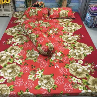Drap thun hàn quốc