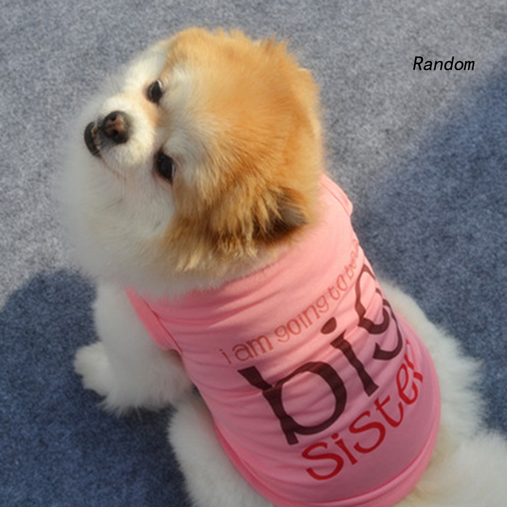 Áo Chống Nắng Cho Thú Cưng Ran