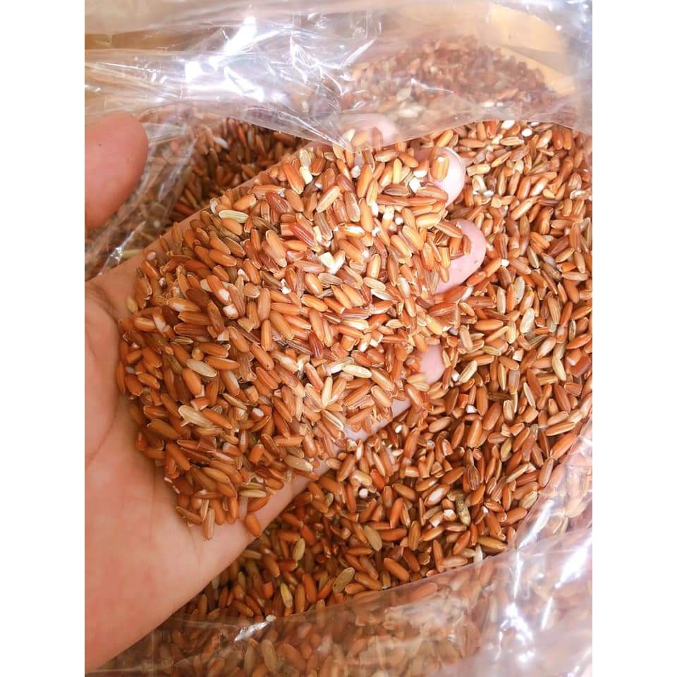 Gạo Lứt Dẻo Điện Biên Thực Dưỡng/ EatClean/Healthy Loại 1( hút chân không) | BigBuy360 - bigbuy360.vn