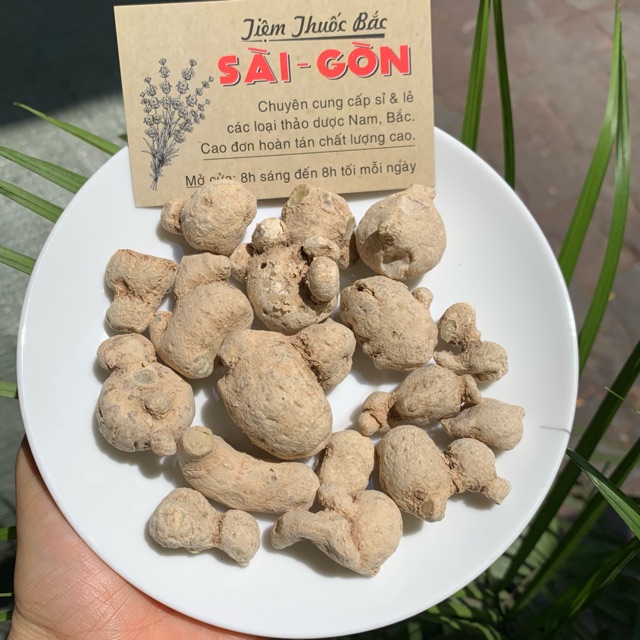 Củ Tam Thất Nam 500gram (Hàng mới, củ đẹp)