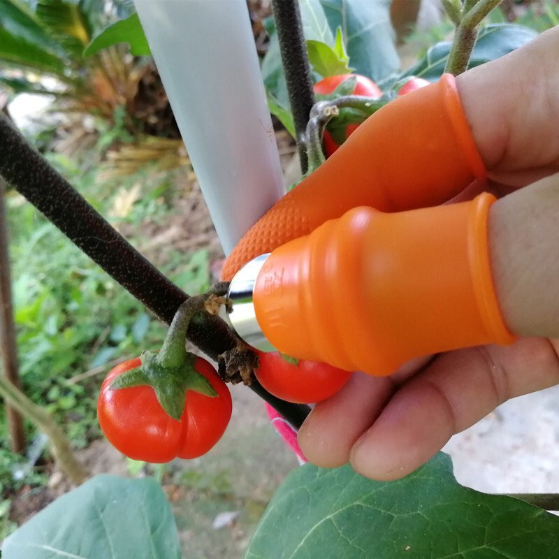 Bộ móng tay nhặt rau, bóc vỏ tiện lợi, bảo vệ móng tay hiệu quả