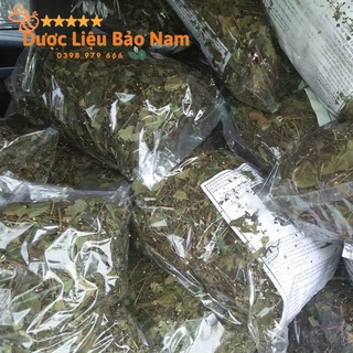 1kg chè vằng sẻ, chè vằng lợi sữa tốt, chè vằng lợi sữa