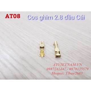 Cos Ghim 2.8 cái -AT08 ( 1 bịch/50 cái) - cose xe máy