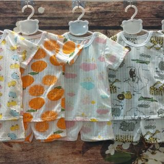 Combo bộ cotton