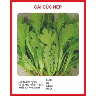 Hạt giống cải cúc 2500hạt ~20gram