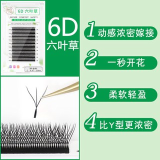 3 lá cỏ 6 lá cỏ Cổ Tích lông mi W lông mi không khí