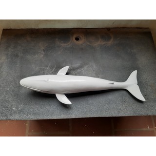 Cá Voi Trắng 45cm