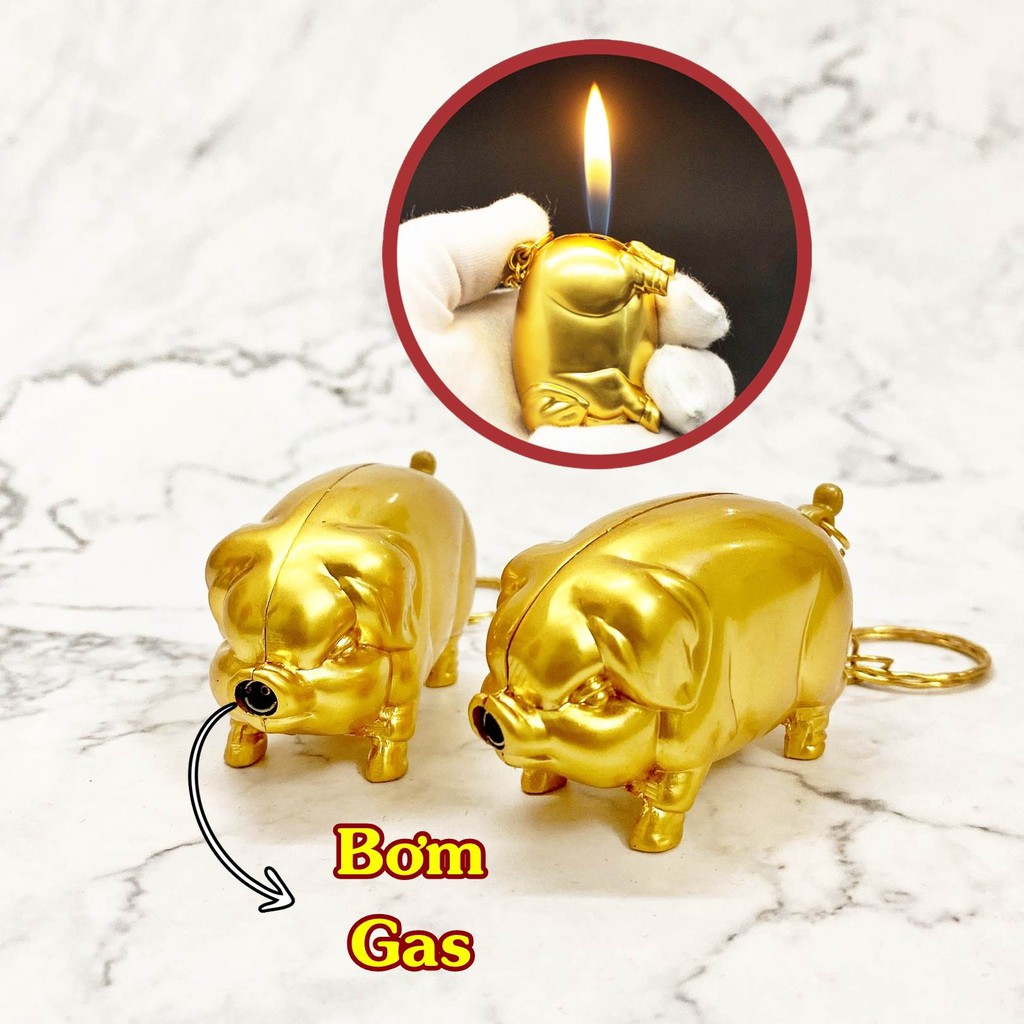 𝙃𝙤̣̂𝙥 𝙌𝙪𝙚̣𝙩 𝘽𝙖̣̂𝙩 𝙇𝙪̛̉𝙖 Hình con heo vàng mang lại may mắn cho gia chủ - Hột quet độc lạ TANY SHOP DL09