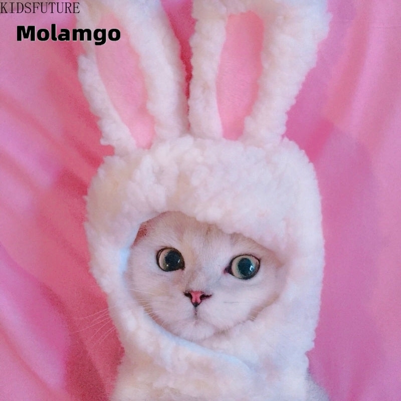 MOLAMGO  Mũ Tai Mèo Đáng Yêu Cho Thú Cưng mũ cho chó mèo