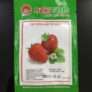 Hạt giống dâu tây đỏ giống Đức - 100 hạt