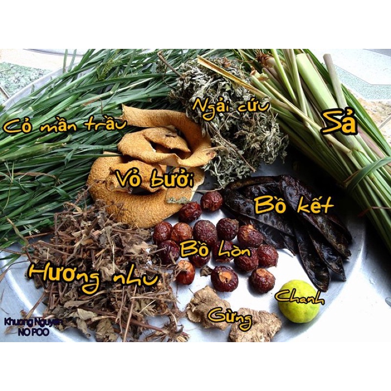 1LIT DẦU GỘI THẢO DƯỢC CÔ ĐẶC