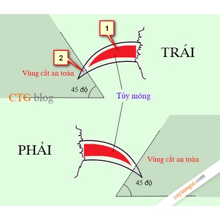 Bộ Kềm Bấm, Dũa Móng Cho Chó, Mèo Giadungbpm