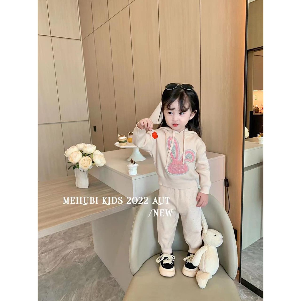 Set len bộ bé gái cấp đính đá hình thỏ 80-120