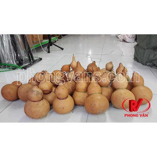 Quả bầu nậm hồ lô đựng rượu