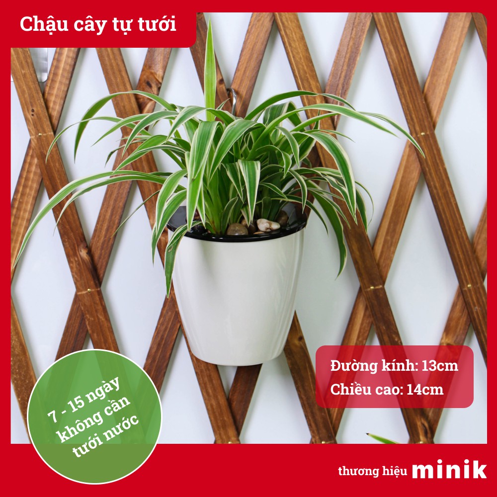 Chậu nhựa trồng cây treo tường tự dưỡng MINIK, chậu cây thông minh tự tưới, size 13cm x 14