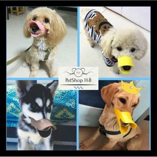 Rọ mõm cho chó mẫu vịt