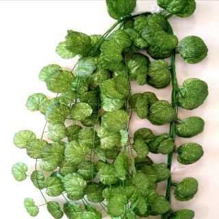 Lá giả, sợi dây leo hải đường dài 2.3m 80 lá