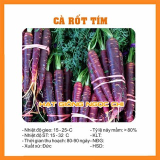 Hạt Giống Củ Cà Rốt Tím - 0.1Gr