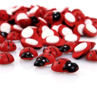 Set 10 Bọ rùa mini trang trí cây cảnh