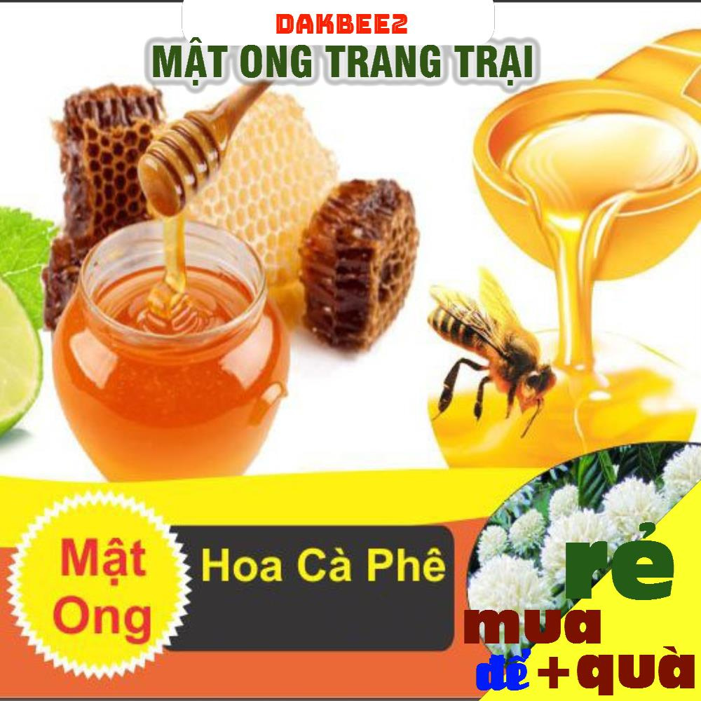 500ml Mật ong rừng hoa cà phê nguyên chất Daklak - bồi bổ cơ thể, sức đề kháng [ DAKBEE2 ] [GIÁ SẬP SÀN]