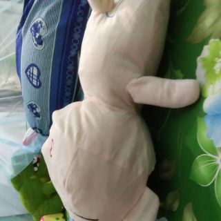 Gấu bông của nguyễn liên