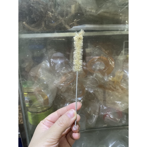 Cây cọ ống nước