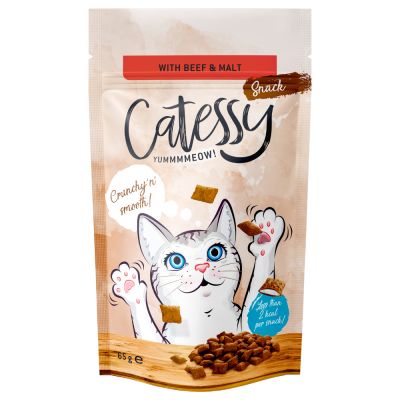 BÁNH THƯỞNG CHO MÈO CATESSY 65G 3 VỊ NHẬP ĐỨC GIÁ CỰC RẺ