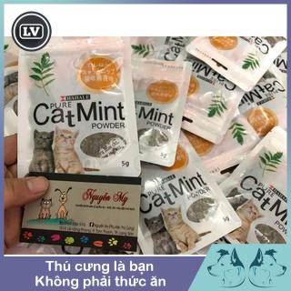 Cỏ bạc hà (catnip) cho mèo Phụ kiện Long Vũ