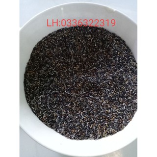 hạt giống cây đuôi chuột hoa tím(gói 600 hạt)