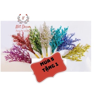 🍁 Hoa khô handmade 🍁 Nhánh hoa Sao Tình Nhân khô làm thiệp quà tặng 🍁 hoa khô nguyên liêu