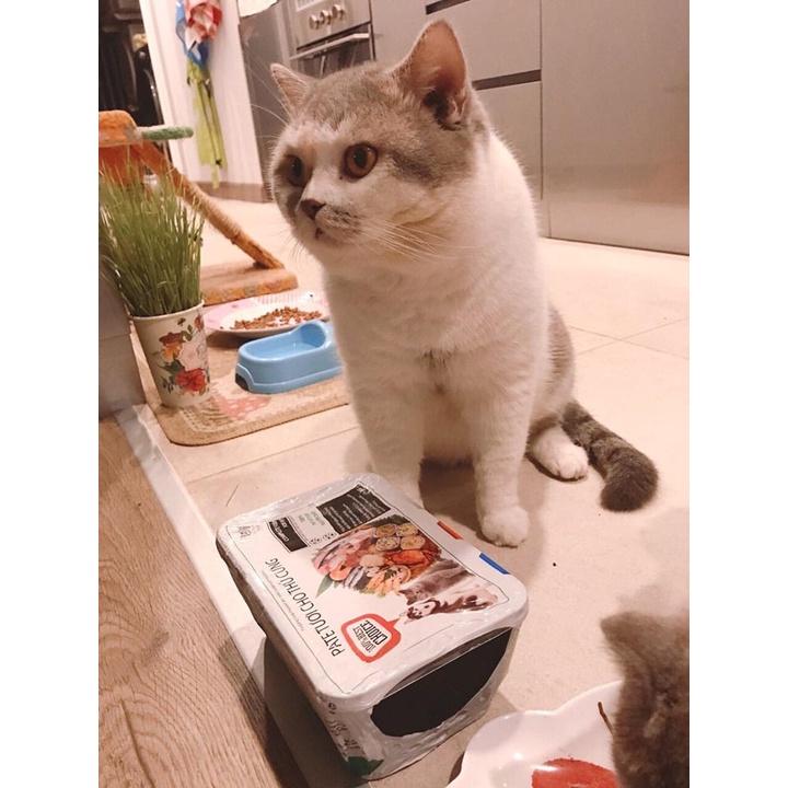 Pate Tươi The Pet Cho Mèo  - HỘP 1KG - GIAO NOW/GRAB