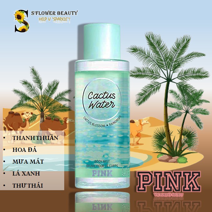 🌴 PINK | Desert Oasis | Xịt Thơm Toàn Thân Victoria’s Secret PINK Body Mist - Cactus Water | Desert Petals | Blush Palms | BigBuy360 - bigbuy360.vn